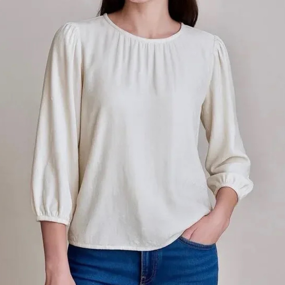 Velvet by Graham & Spencer Ivory Blouse in Luxurious Silk Velvet Size S